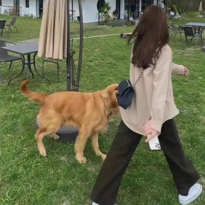 纽约小匪战黑帮