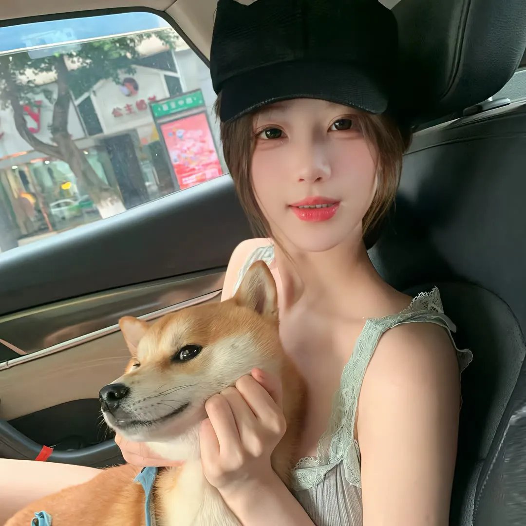 羔羊大律师